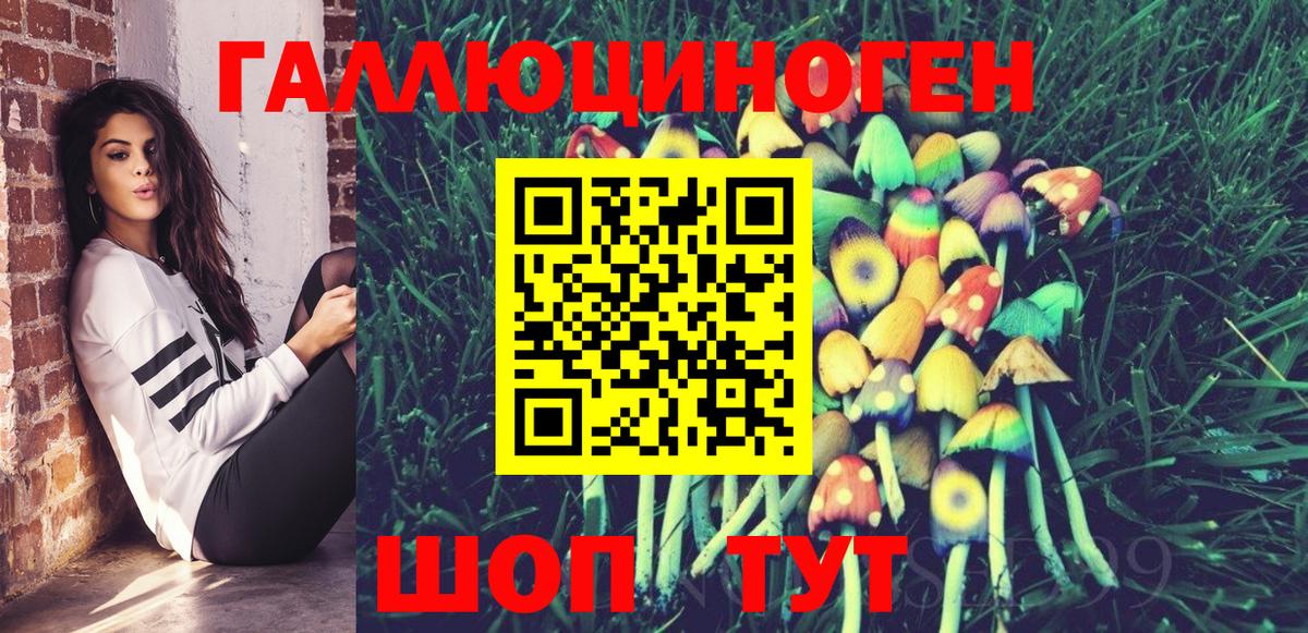 Псилоцибиновые грибы Magic Shrooms  Вход с VPN  Славгород  Галлюциногенные грибы мицелий 