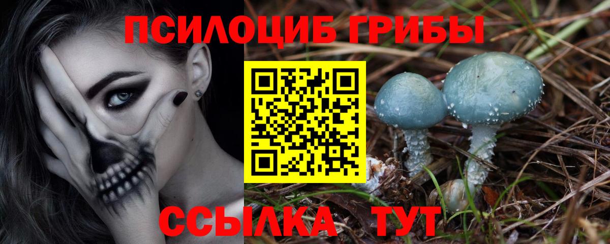 Галлюциногенные грибы прущие грибы Славгород